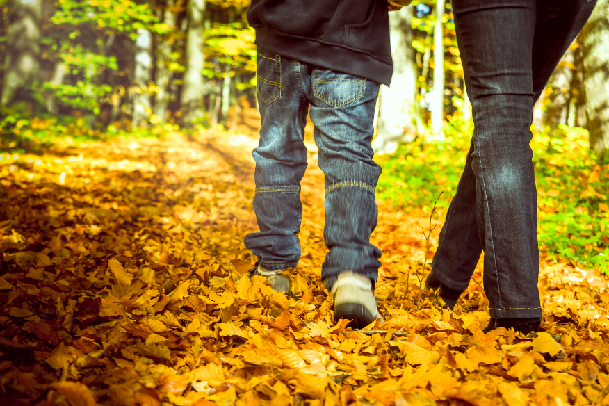 Walking In The Woods